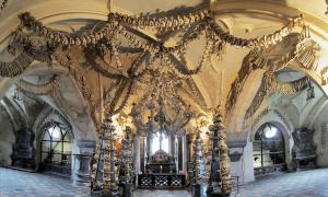 Голема и страшна коска во Чешка