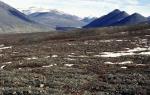 Поларен биоклиматски појас Пукнатини во тундра во Канада во лето