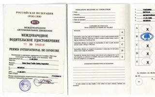 Obtaining an international driving license