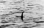 The monster is Loch Ness.  Lake Loch Ness.  Modern witnesses of the Loch Ness monster