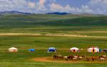 Интересни факти за Монголија