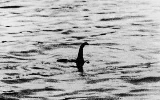 Het monster is Loch Ness.  Het meer van Loch Ness.  Moderne getuigen van het monster van Loch Ness