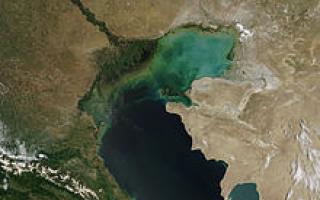 Rivers flowing into the Caspian Sea: list, description, characteristics Which countries surround the Caspian Sea