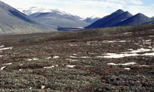 Polar bioclimatic belt Cracks in the tundra of Canada in summer