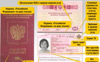 Биометрический паспорт, что это такое?