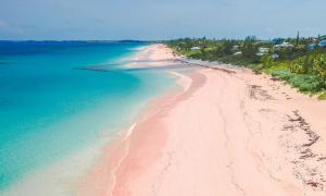 The best pink sand beaches