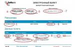 How to check an Aeroflot e-ticket