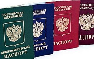 Existing types of foreign passports
