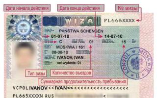 Какви видови визи постојат: класификација и општо прифатени ознаки
